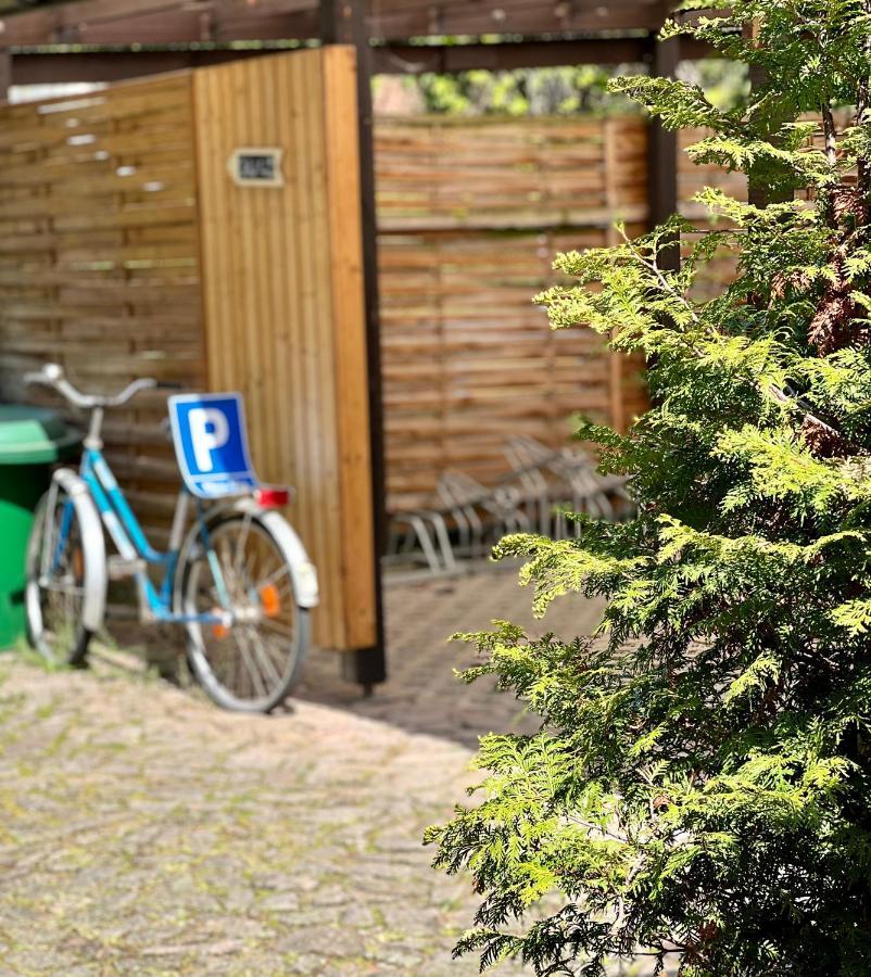 Traditionsgasthaus Goldener Loewe Riesa Restaurant & Pension Zewnętrze zdjęcie