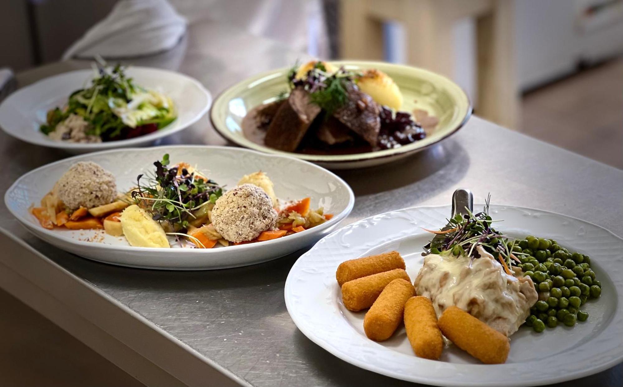 Traditionsgasthaus Goldener Loewe Riesa Restaurant & Pension Zewnętrze zdjęcie